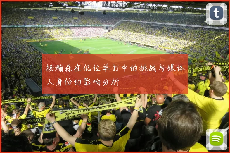 杨瀚森在低位单打中的挑战与媒体人身份的影响分析
