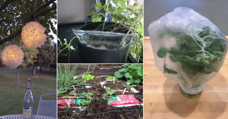 Use plastic bags as a Waterproof Barrier for Plants