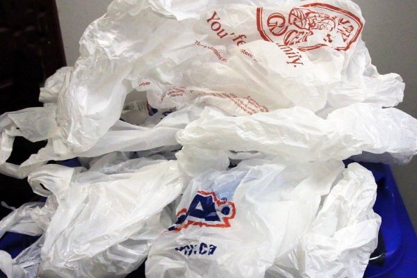use single-use plastic bags to contain trash